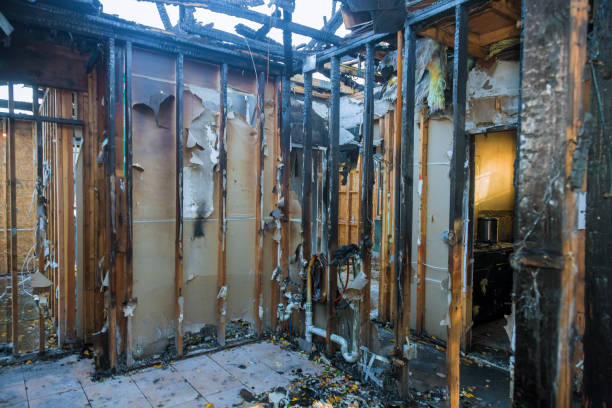 Professional Fire Damage Removal technician working in Oglesby, IL